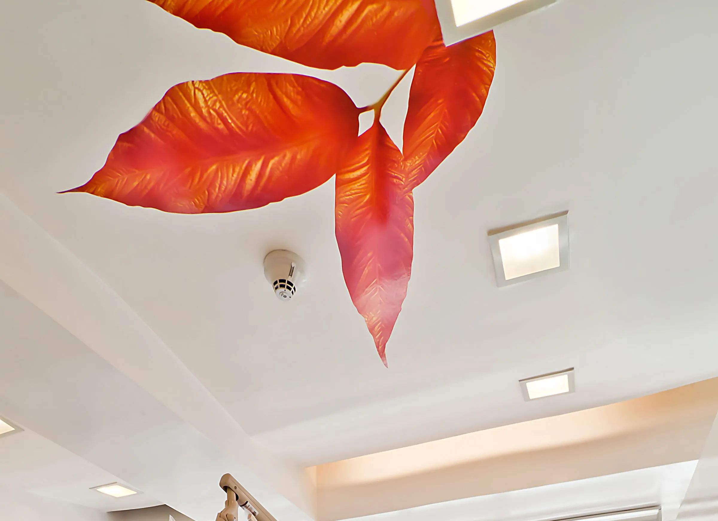 Treatment room at Smiles By Dr. Cecile under the hand-painted ceiling leaf mural, where implant procedures are done